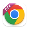 Google Chrome