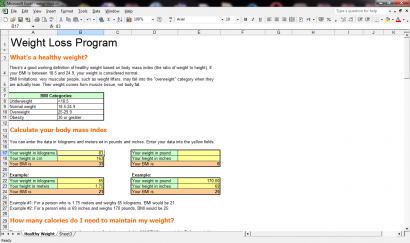 Weight Loss Program